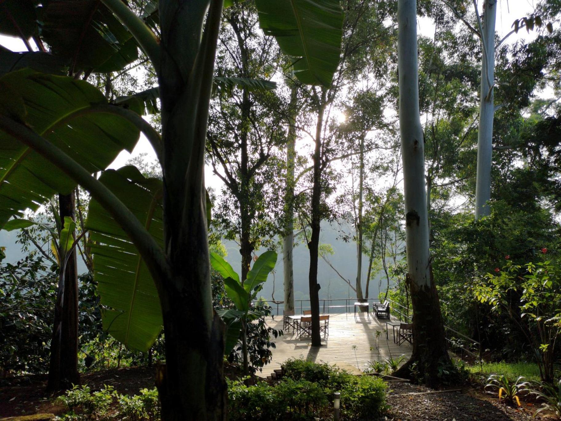 Kaliwa Lodge 모시 외부 사진